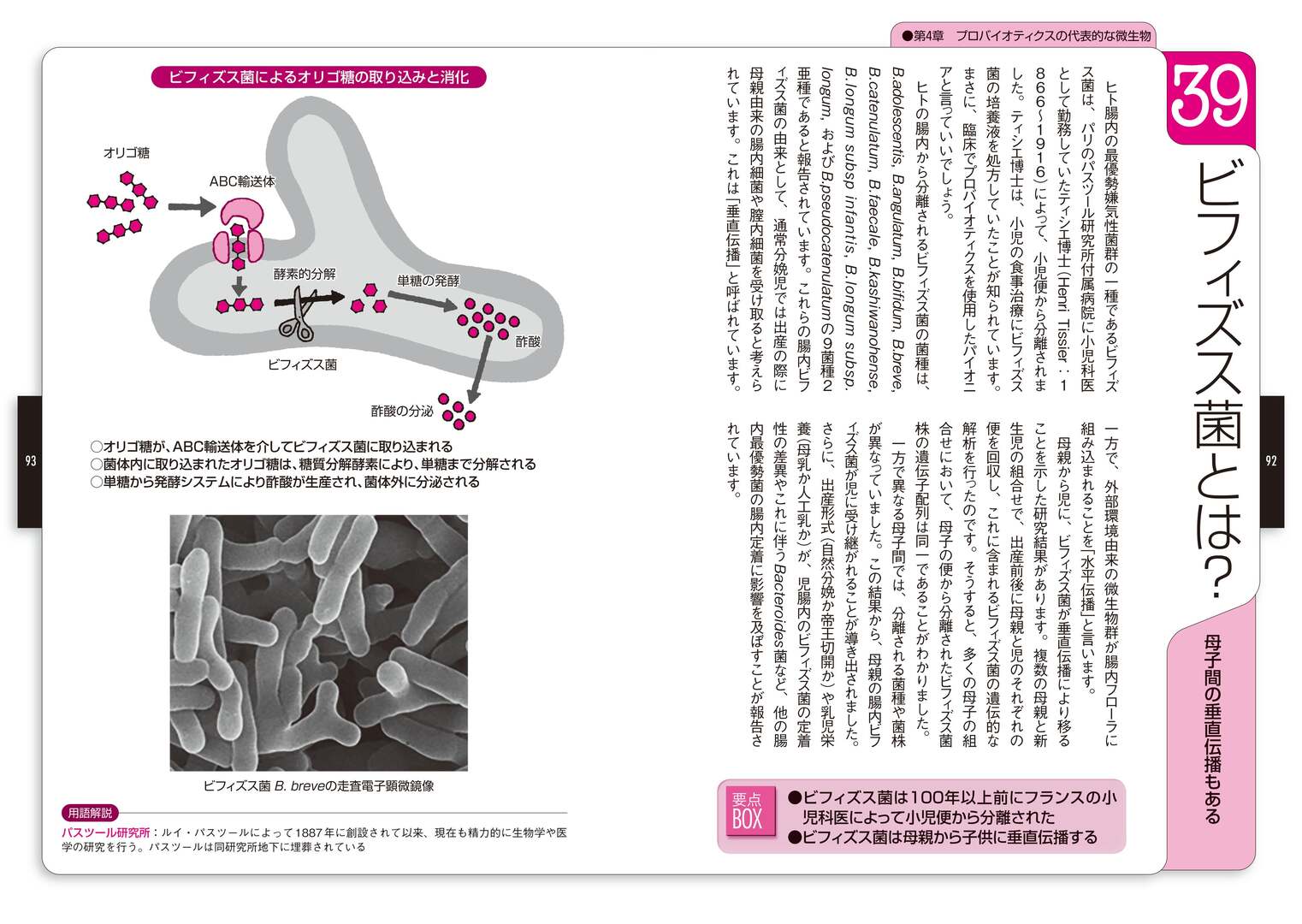 レスポンシブ画像