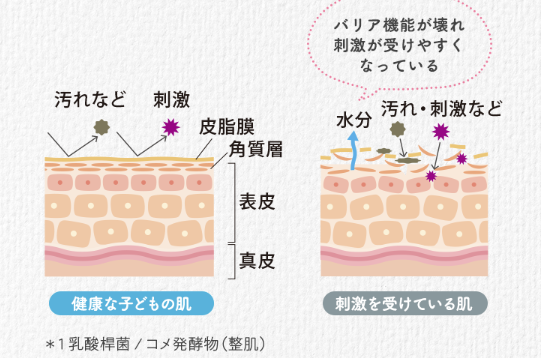 レスポンシブ画像