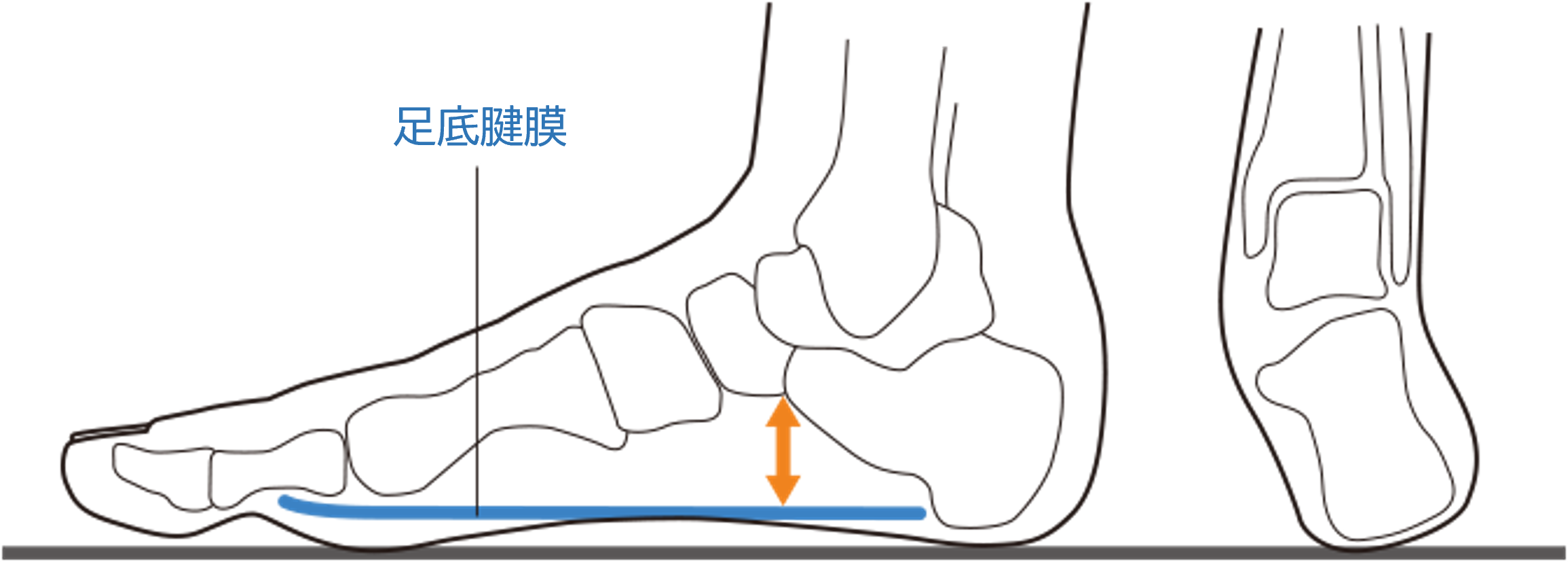 レスポンシブ画像