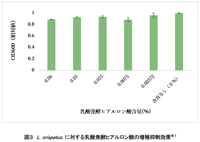 レスポンシブ画像