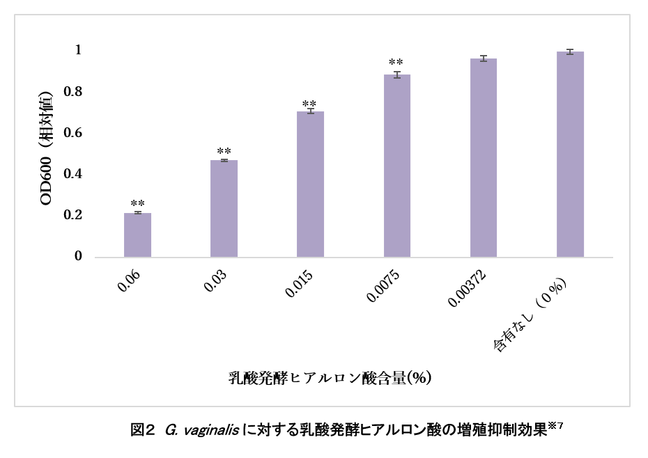 レスポンシブ画像