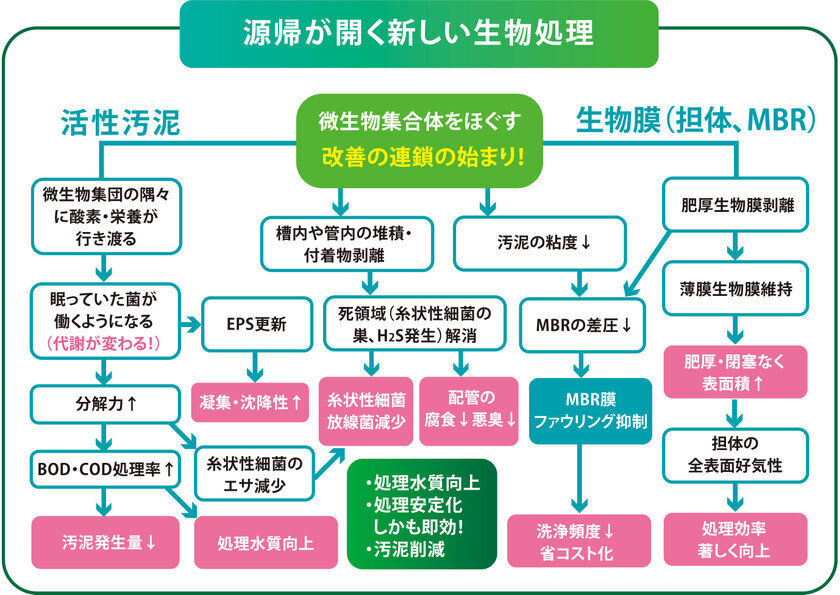 レスポンシブ画像