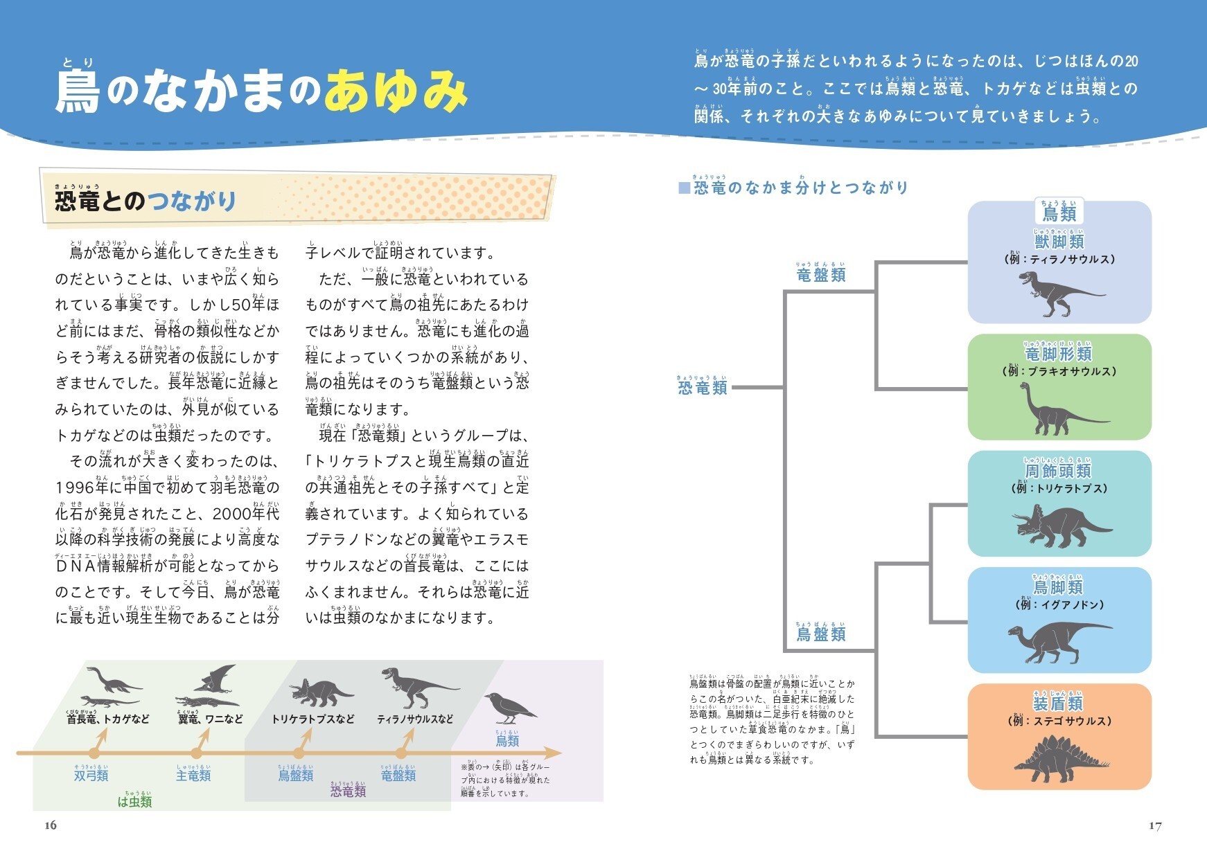 レスポンシブ画像